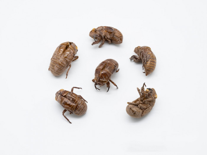 Denizli'deki İngilizce Dil Kursu Fiyatları