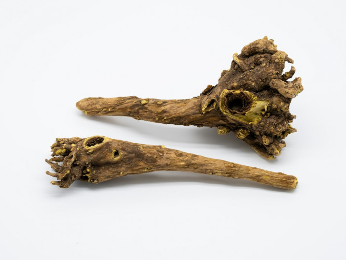 İzmir'de Uygun Fiyatlı İngilizce Kursları